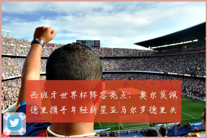 西班牙世界杯阵容亮点：奥尔莫佩德里携手年轻新星亚马尔罗德里共赴荣耀之战