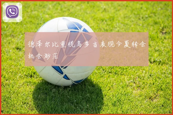 德泽尔比重视乌多吉表现今夏转会机会渺茫