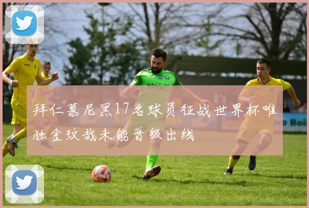 拜仁慕尼黑17名球员征战世界杯唯独金玟哉未能晋级出线